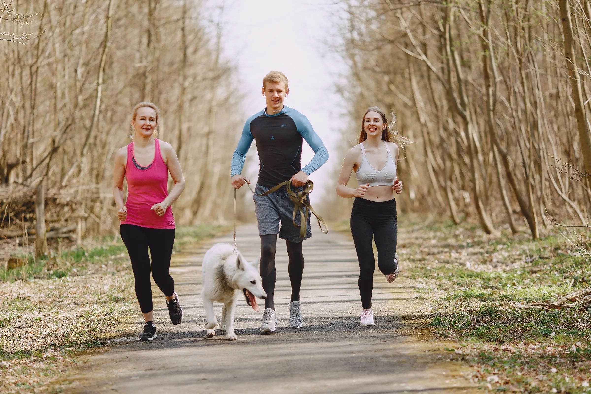 Three friends jogging with their dog along a forest boardwalk